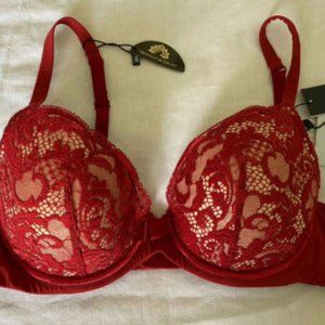 NWT NWT LOU PARIS Burgundy Lace Bra # 21615